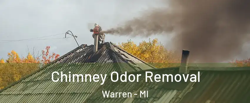 Chimney Odor Removal Warren - MI
