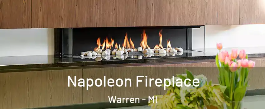 Napoleon Fireplace Warren - MI